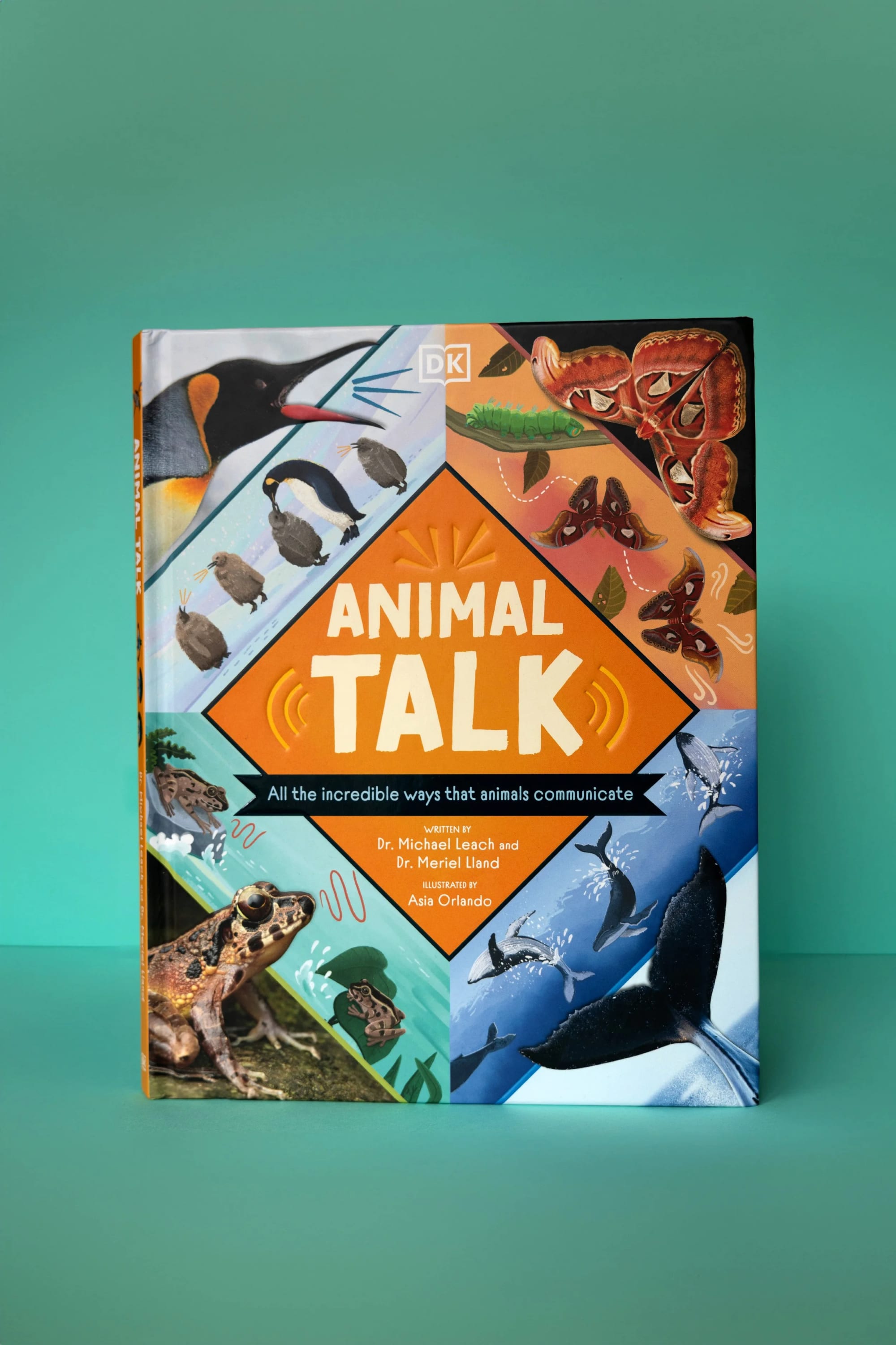 Libro titulado 'Animal Talk' con imágenes de varios animales, entre ellos un pájaro, orugas, mariposas, ranas, ballenas y pingüinos, sobre un fondo color verde azulado.