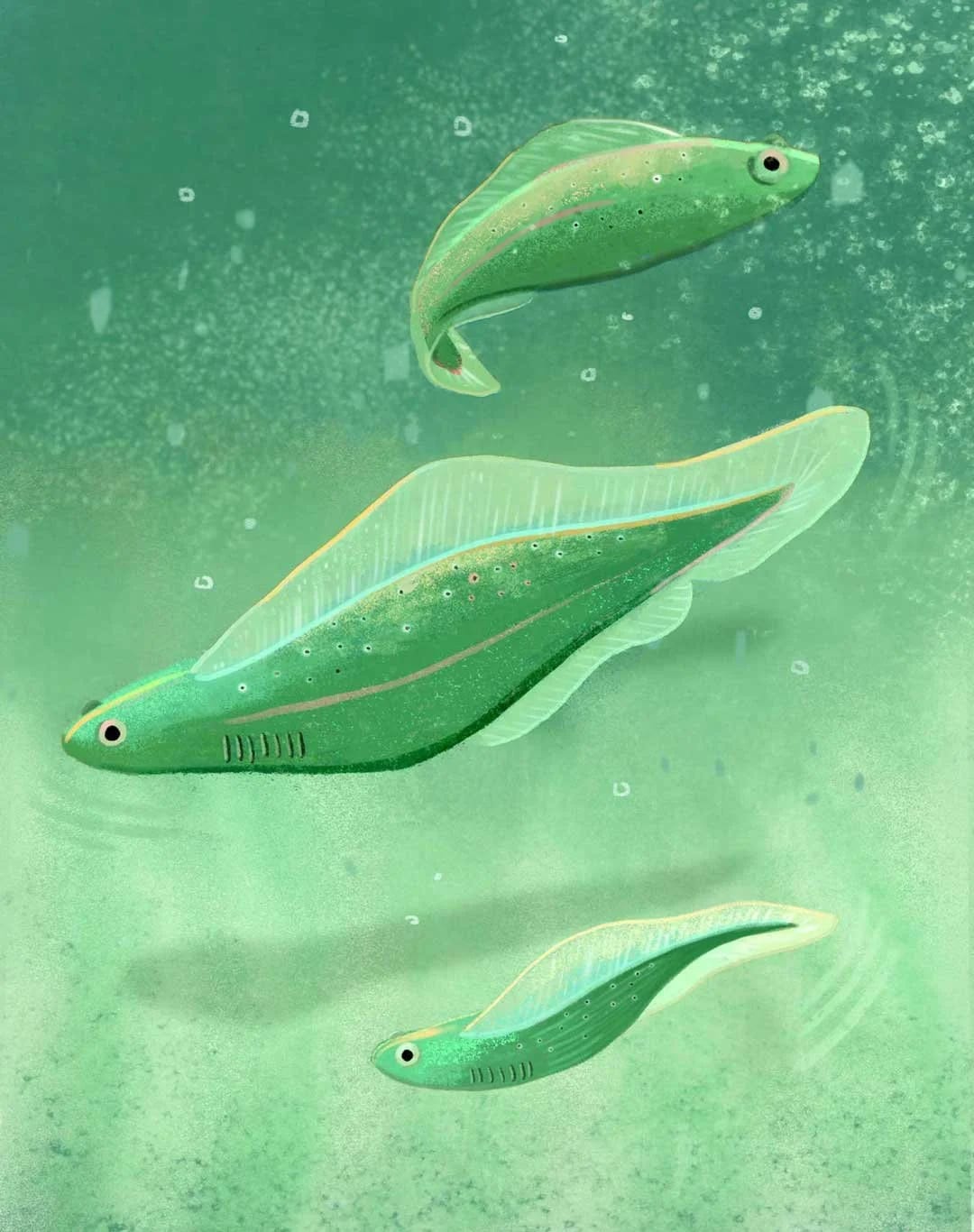 Drei grüne, fischförmige durchsichtige Objekte mit kleinen Augen, die in einer grünen Unterwasserszene schweben.