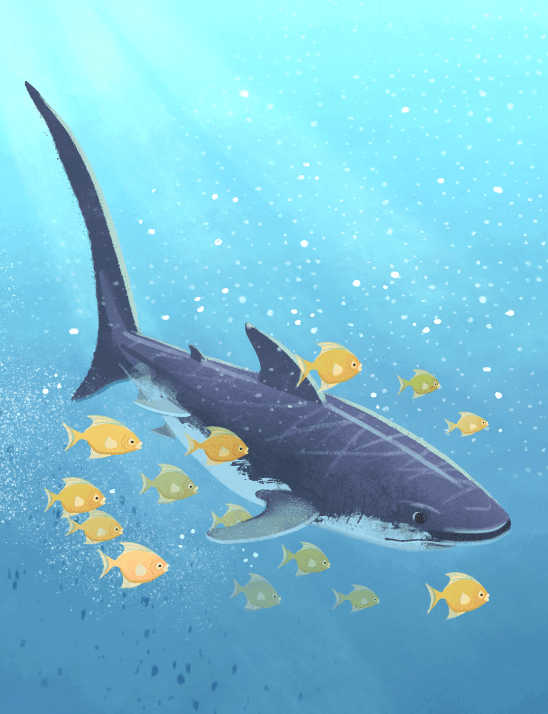 Eine Illustration eines großen Wals, der unter Wasser schwimmt, umgeben von kleinen gelben und grünen Fischen, mit Sonnenlicht, das von oben durchfiltert.