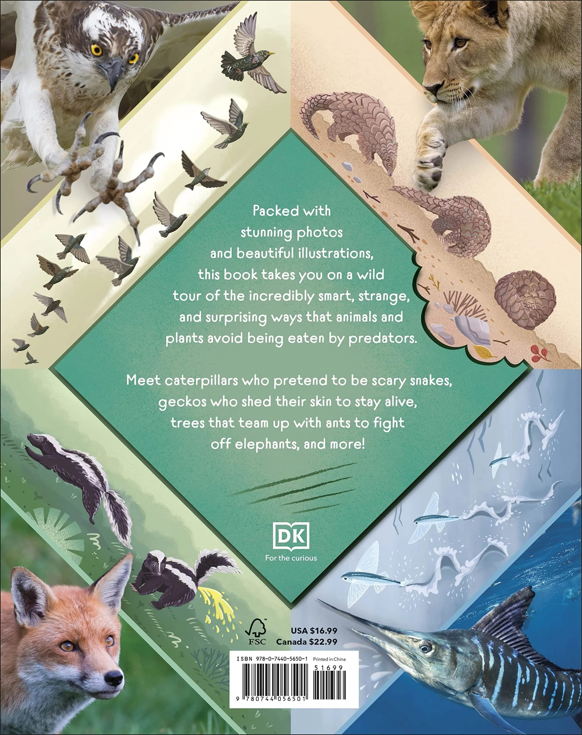 Buchcover mit verschiedenen Tieren wie einem Adler, Kolibris, einem Löwen, einem Schuppentier, Geckos, einem Elefanten, fliegenden Fischen und einem Fuchs, mit Text, der den Inhalt über die Überlebensanpassungen von Tieren beschreibt.