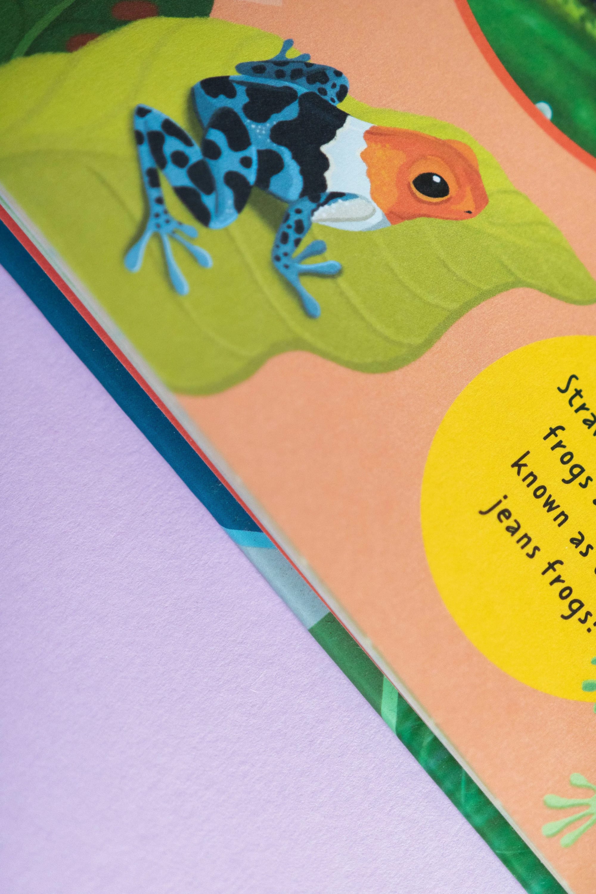 Illustration eines tyrianischen Kammfrosches auf einem grünen Blatt mit Text über Frösche.
