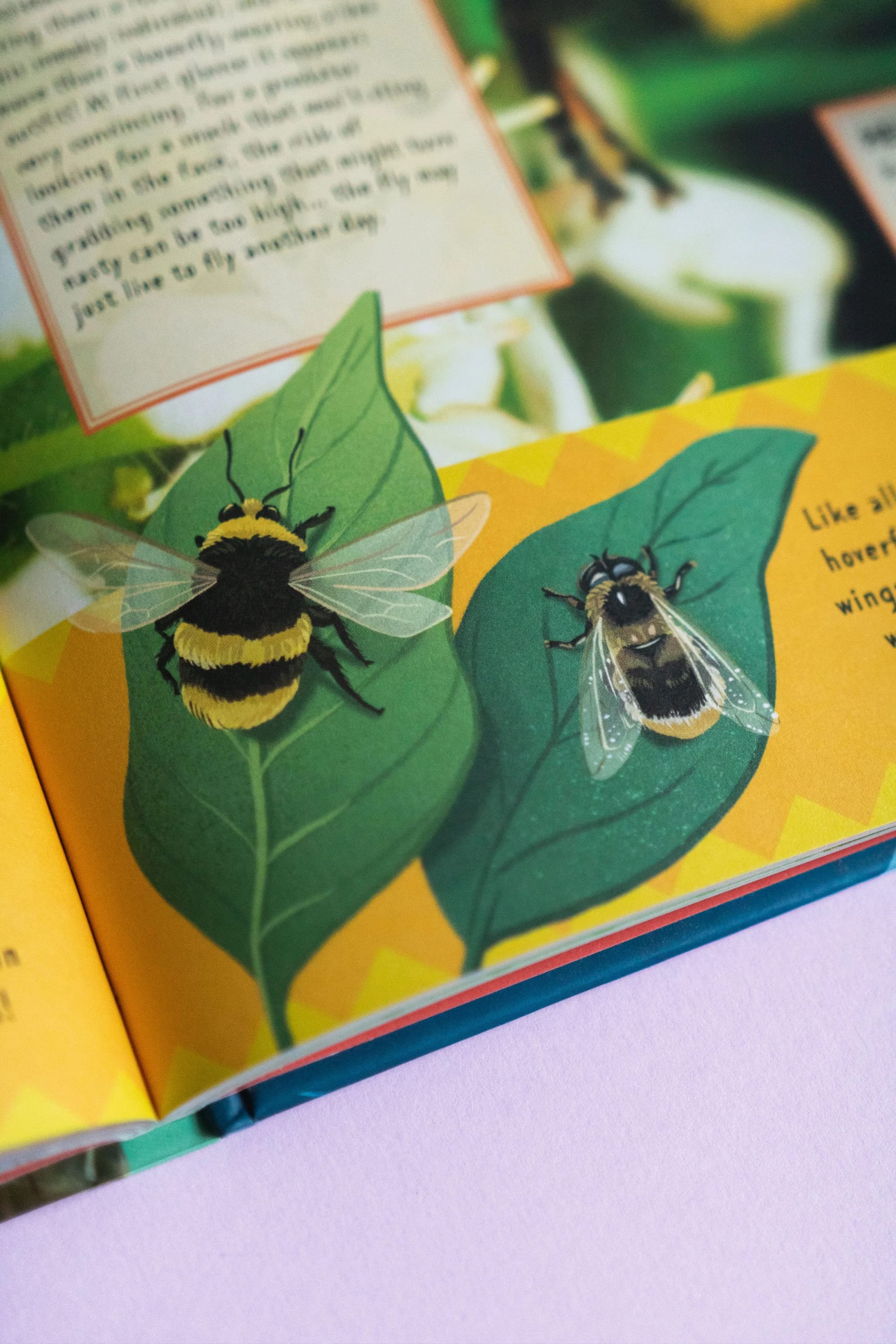 Illustration einer Hummel und einer Honigbiene auf grünen Blättern aus einem Kinderbuch.