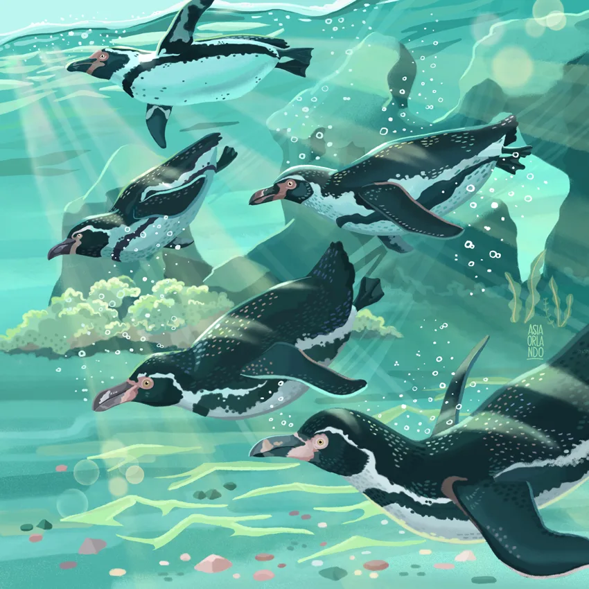 Humboldt Penguins Campaign