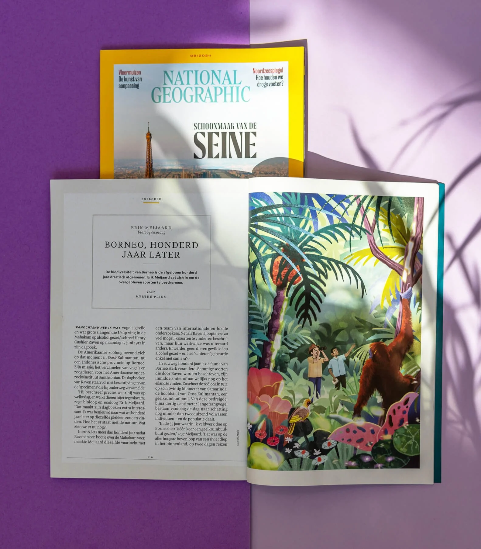 Revista abierta con una ilustración colorida de jungla en la página derecha y un artículo escrito en la página izquierda, sobre una superficie morada con sombras.