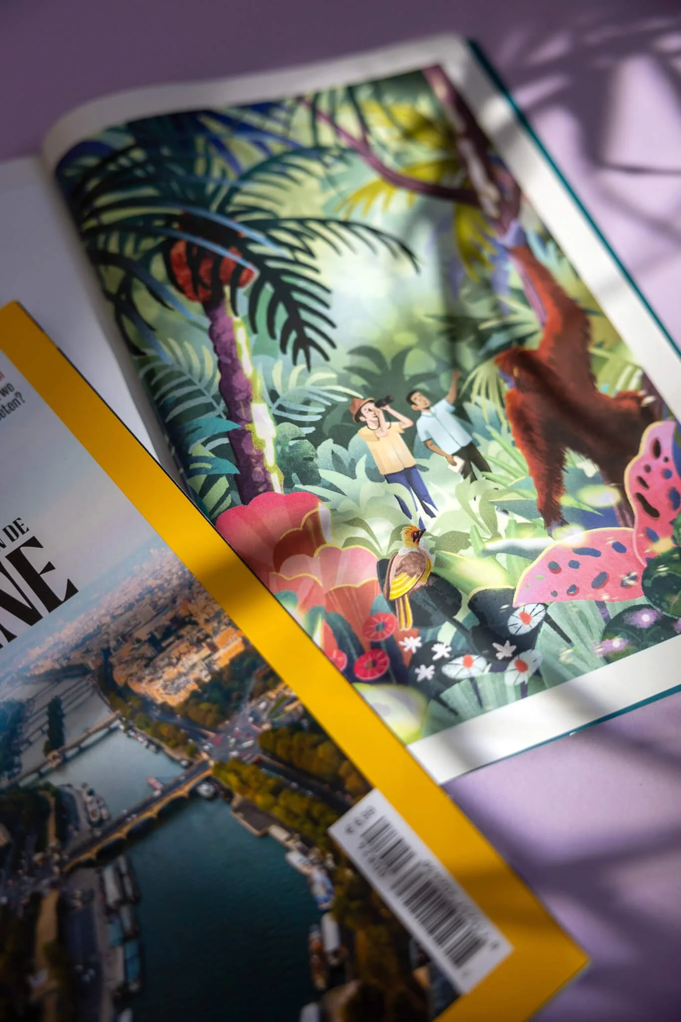 Revistas abiertas, una mostrando una ilustración colorida de una escena de jungla con dos personas, animales y vegetación exuberante, y la otra una fotografía aérea de una ciudad con agua y puentes.