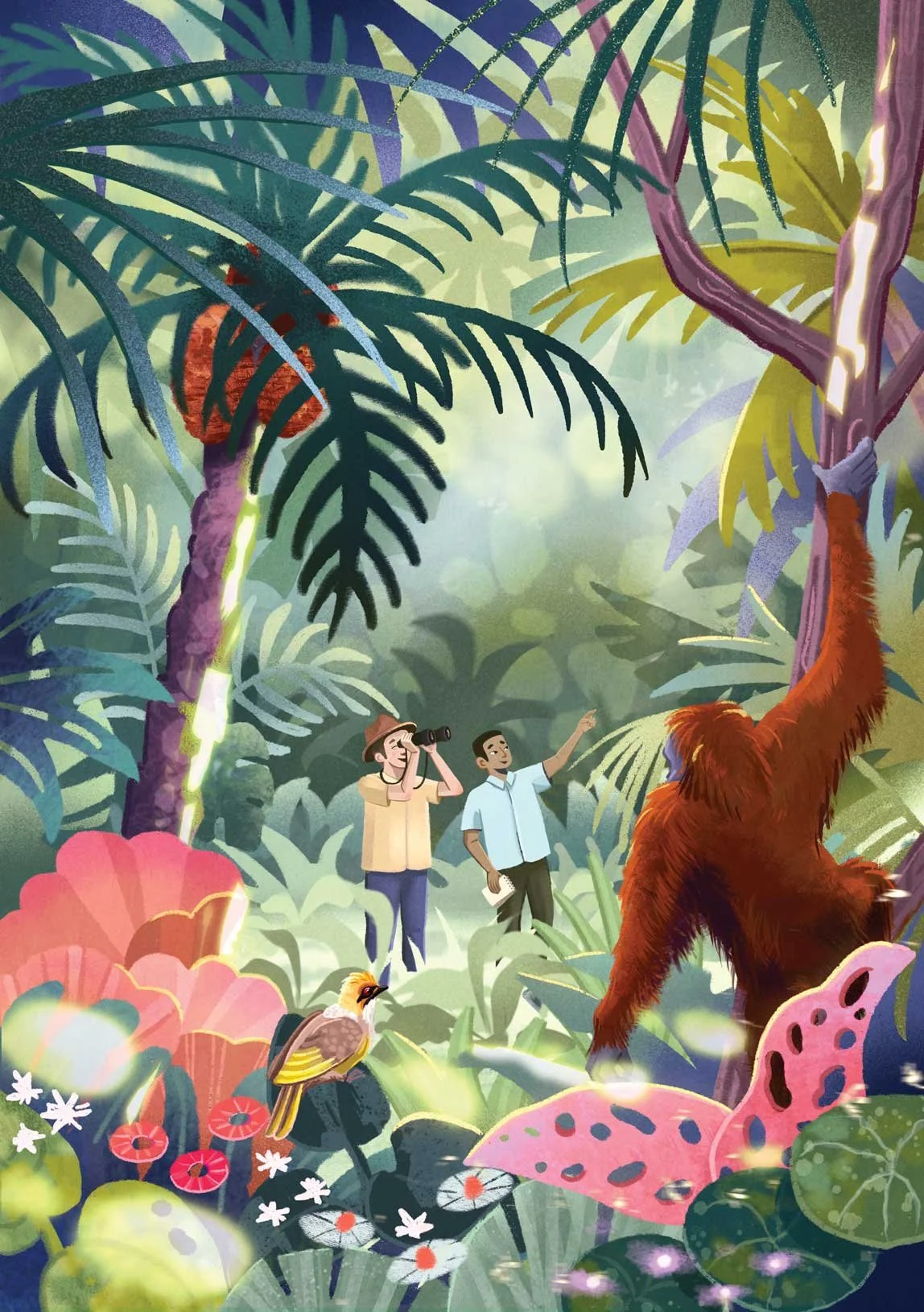Ilustración de una escena de jungla con un gran orangután colgado de un árbol, dos exploradores observándolo y señalándolo, uno mirando por unos prismáticos, un ave colorida posada en una rama y plantas y flores tropicales exuberantes.