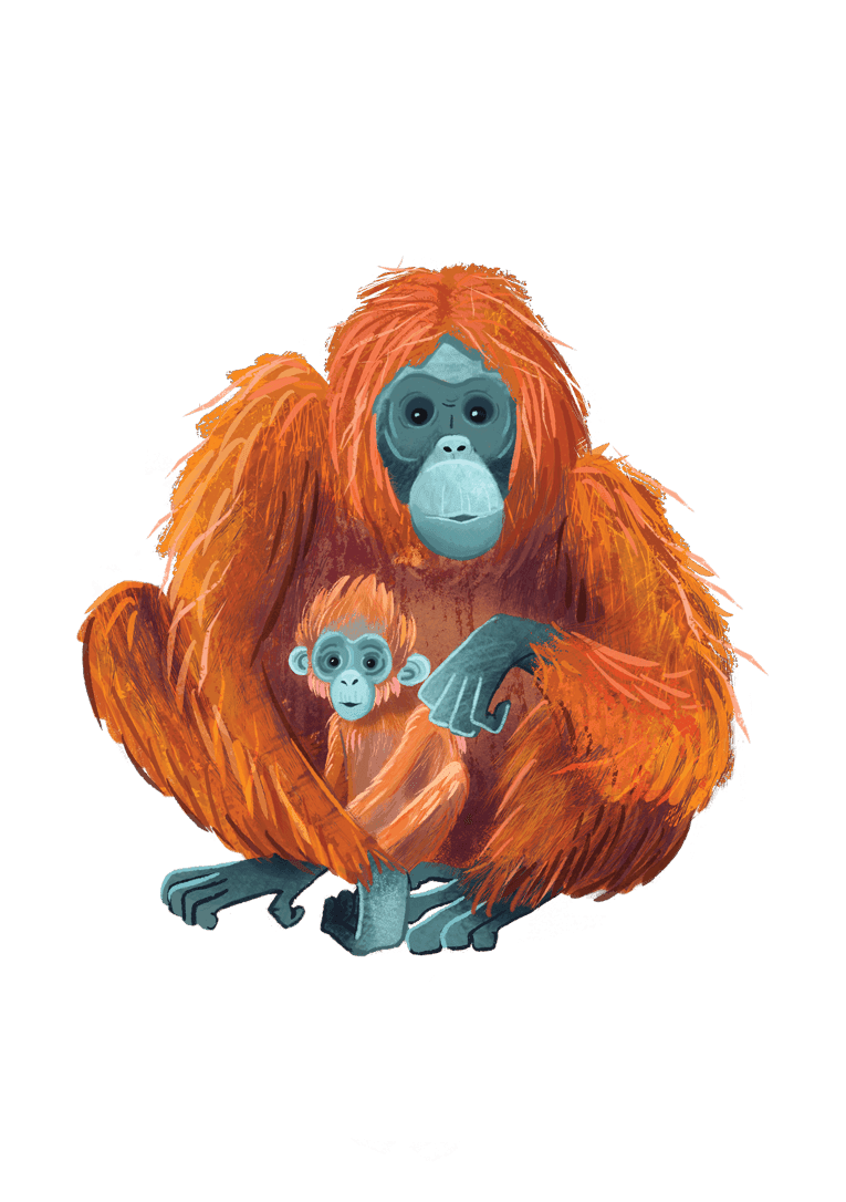 Ilustración de una madre orangután con pelaje anaranjado sosteniendo a su cría de pelaje similar, ambas sentadas sobre un fondo negro.