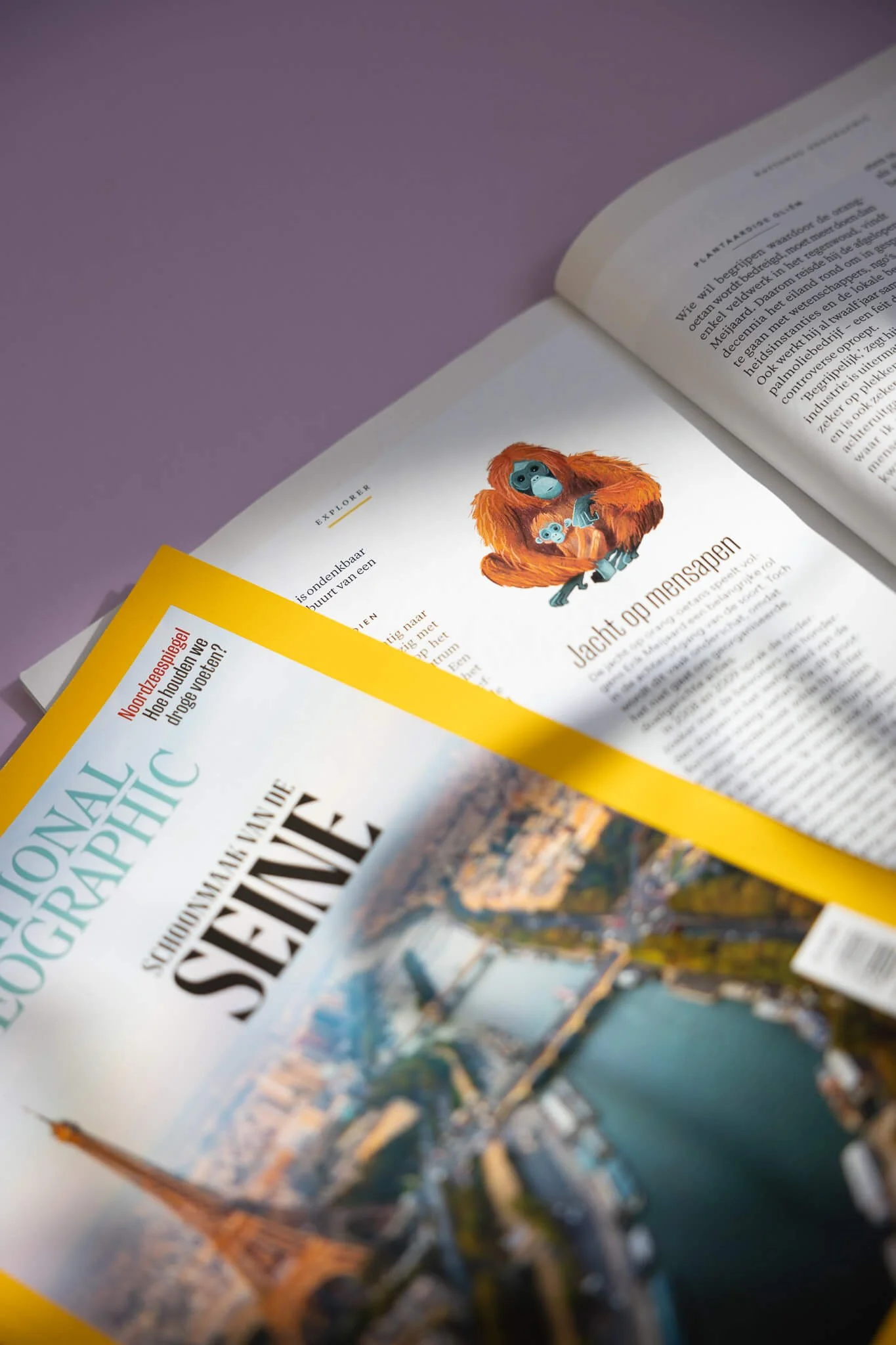 Revista abierta con una ilustración de una mona sosteniendo a su cría y una revista National Geographic de portada amarilla mostrando un paisaje urbano difuminado con un río y la Torre Eiffel.