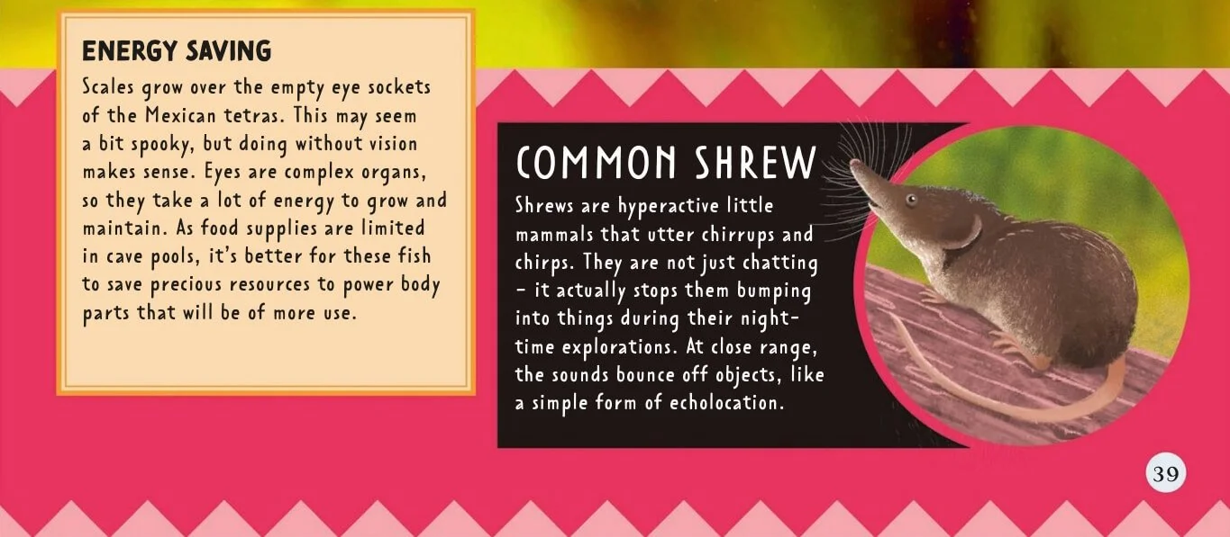 Buchseite mit rosa-gelbem Hintergrund, mit einem Abschnitt mit dem Titel 'Energy Saving' über die Augenhöhlenschuppen des Mexikanischen Höhlensalmlers und einem Abschnitt mit dem Titel 'Common Shrew' mit einem Text über das kleine Säugetier, begleitet von einer Fotografie einer Spitzmaus auf rosa Untergrund.