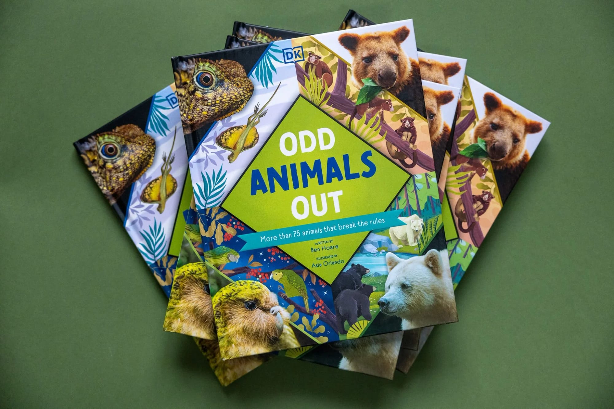 Odd Animals Out