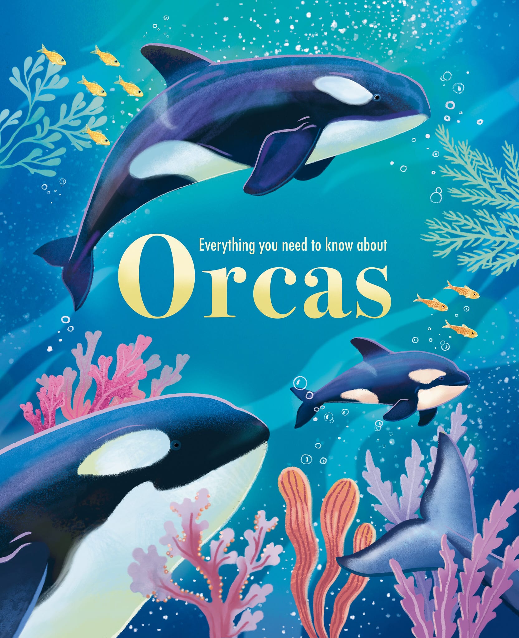 Everything you need to know about Orcas