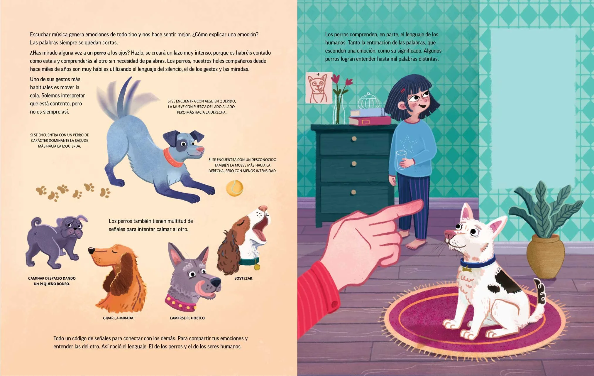 Illustration eines Mädchens, das in einem Raum steht, mit einem Hund, der auf einem Teppich sitzt und auf sie zeigt. Der Raum hat eine türkis gemusterte Tapete, eine dunkelgrüne Kommode, eine Topfpflanze und Bilderrahmen. Das Mädchen hat dunkles Haar mit roten Haarspangen, und der Hund ist weiß mit schwarzen Flecken und einem gelben Halsband.