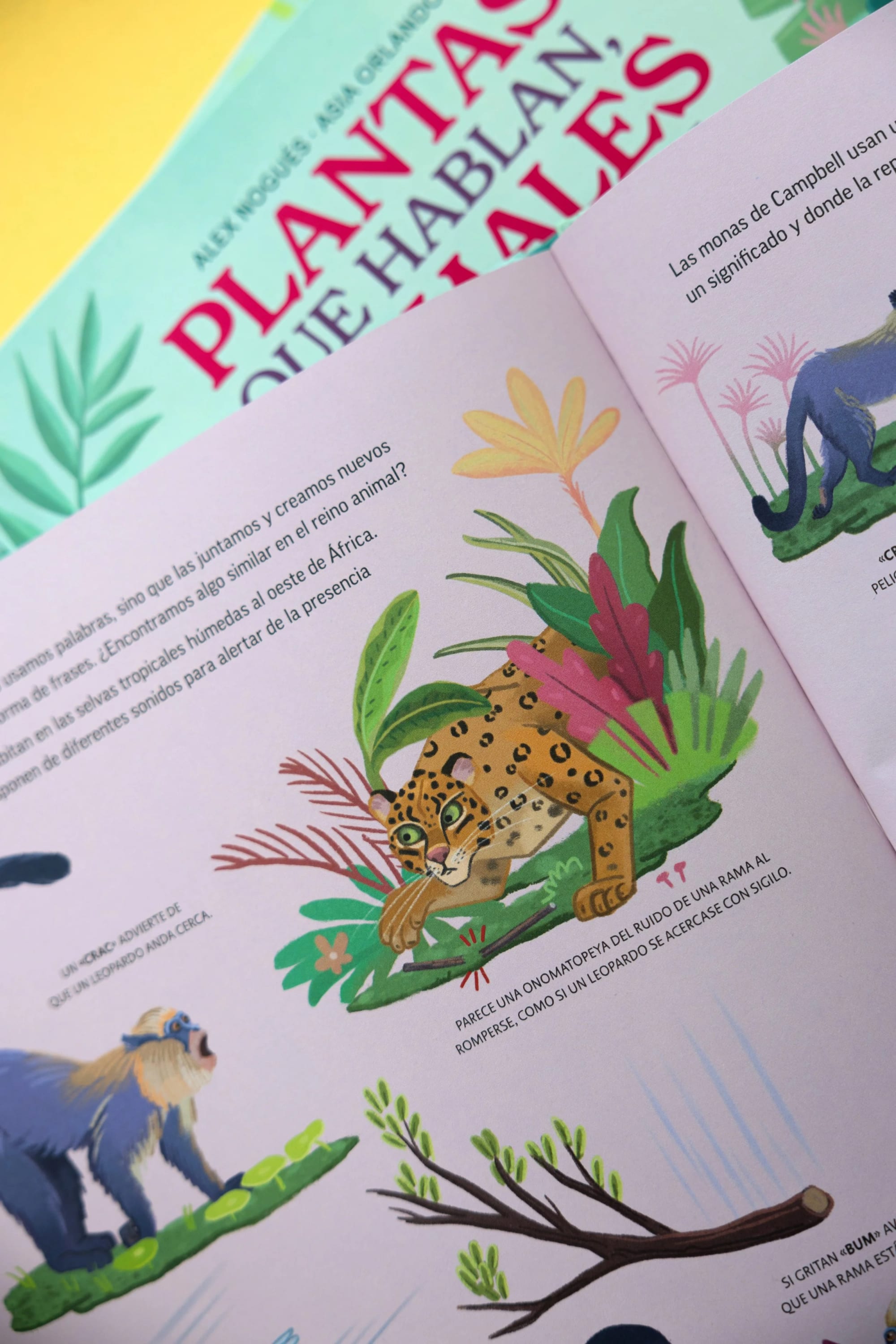 Aufgeschlagenes Buch mit farbenfrohen Illustrationen von Dschungeltieren und Pflanzen, darunter ein Jaguar und ein Affe.