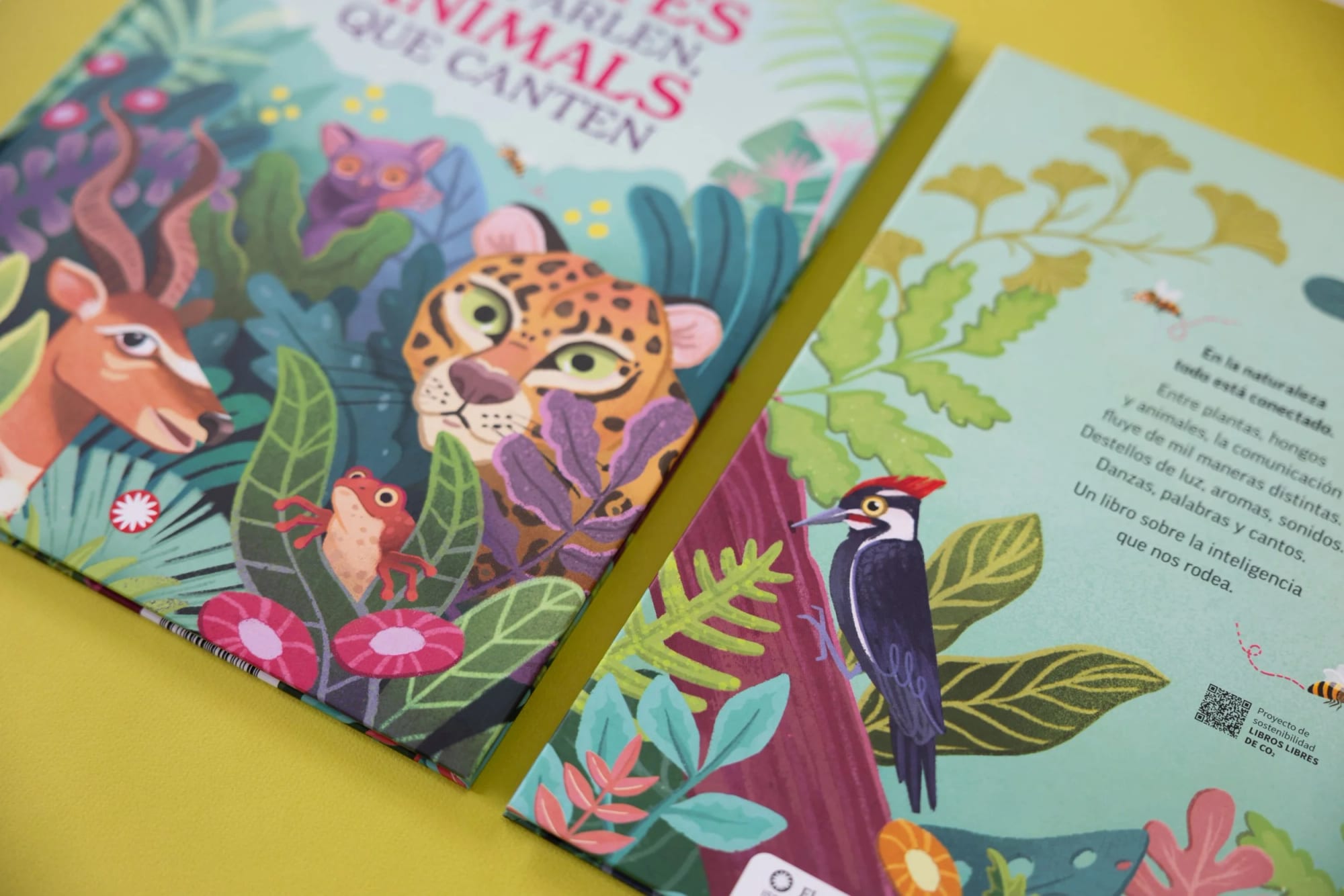 Farbenfroh illustrierte Seiten eines Kinderbuchs mit Regenwaldtieren wie Jaguaren, Affen, Tukanen, Fröschen und einer lila Katze inmitten von üppigem grünem Blattwerk und Blumen.