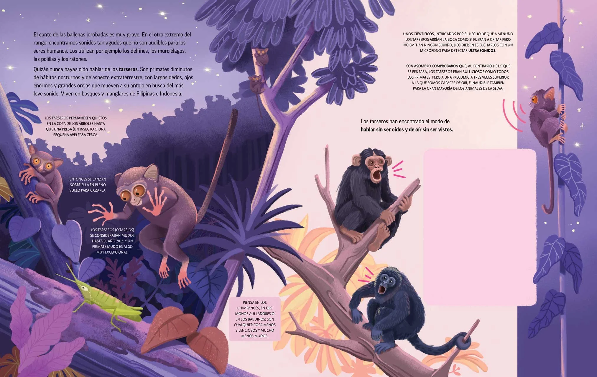 Illustrierte Dschungelszene in der Dämmerung mit Fledermäusen, Affen, einer Heuschrecke und Bäumen mit violetten und blauen Blättern. Die Fledermäuse fliegen und hängen an Ästen, während die Affen auf einem Ast sitzen, einer mit erstauntem Gesichtsausdruck. Die Szene hat einen violett-rosa Hintergrund mit einigen sichtbaren Sternen.