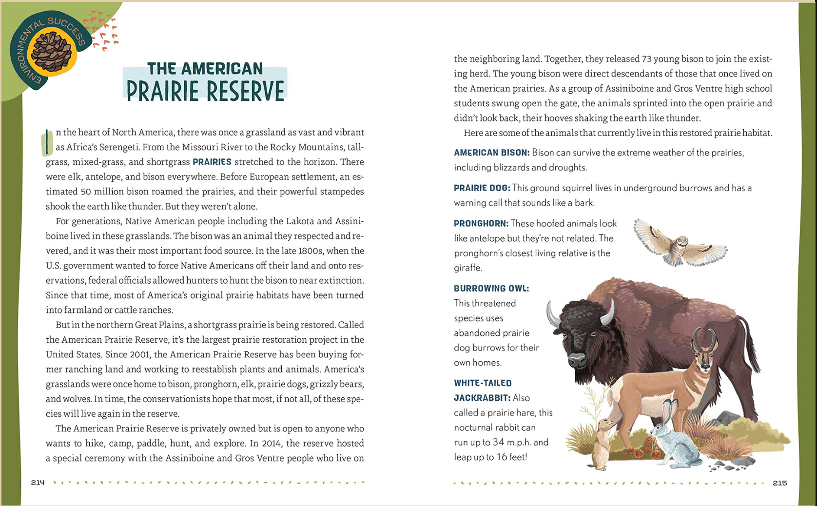 Illustration von Tieren aus dem American Prairie Reserve, darunter ein Bison, ein Gabelbock, eine Höhleneule und ein Weißschwanz-Präriehase.