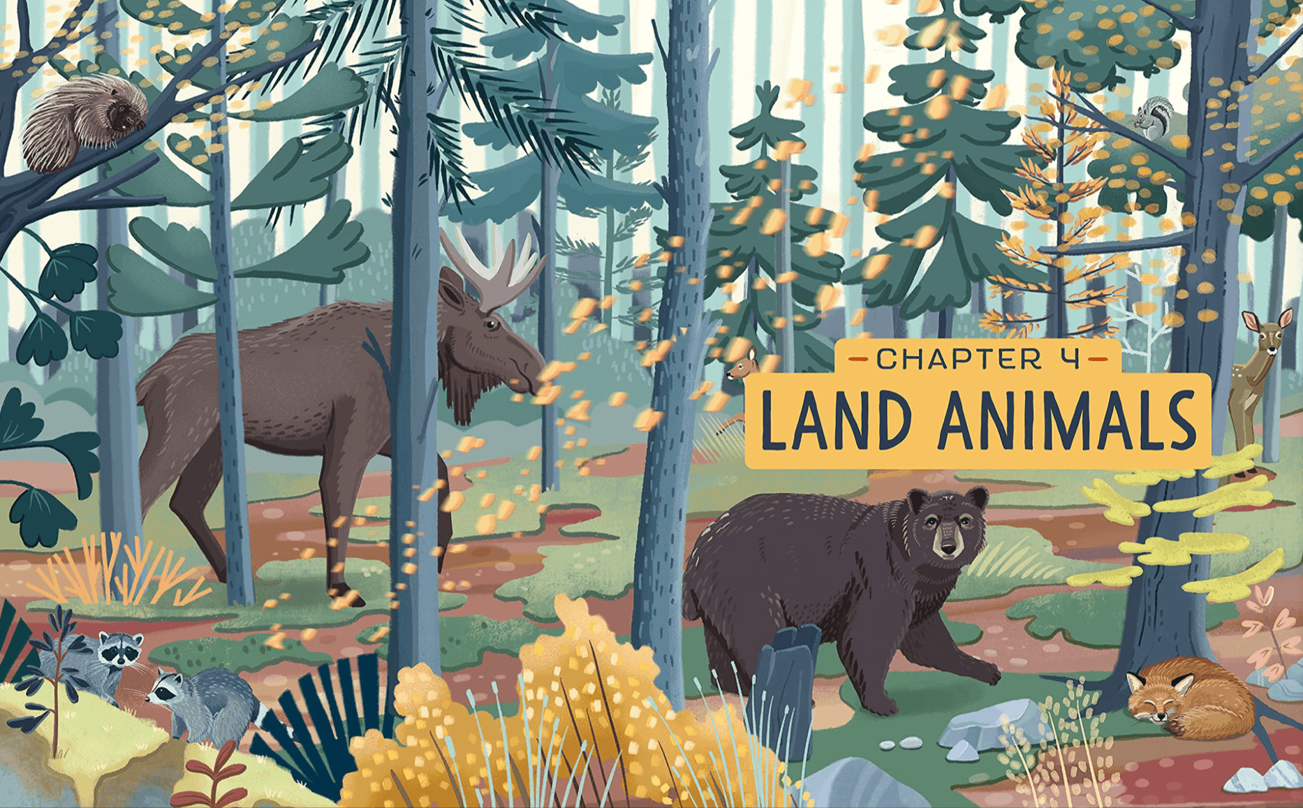 Illustration einer Waldszene mit Landtieren, darunter ein Elch, ein Bär, Waschbären, ein Fuchs, ein Eichhörnchen und ein Reh, mit einem Schild mit der Aufschrift 'Chapter 4 Land Animals.'