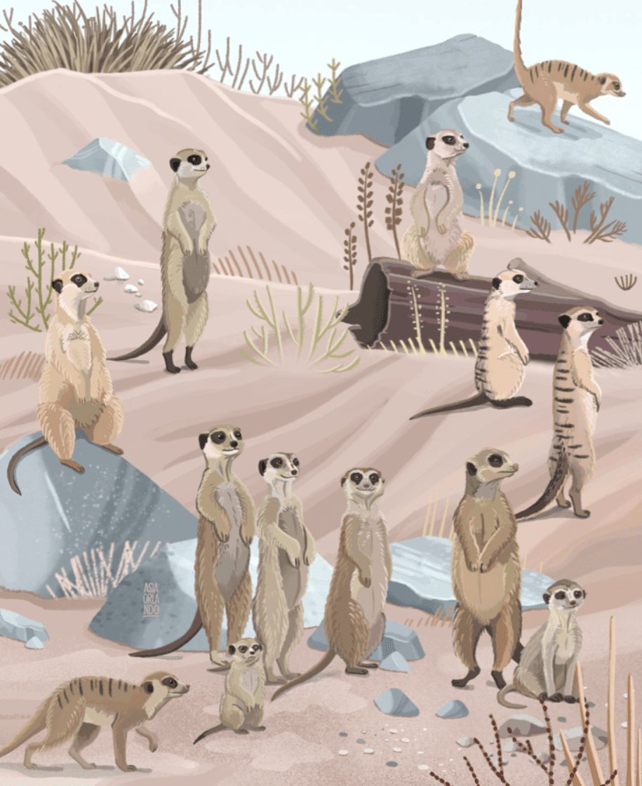 Gruppe von Erdmännchen, die auf Felsen und Sand in einer Wüstenlandschaft mit spärlicher Vegetation und Felsen stehen und sitzen.