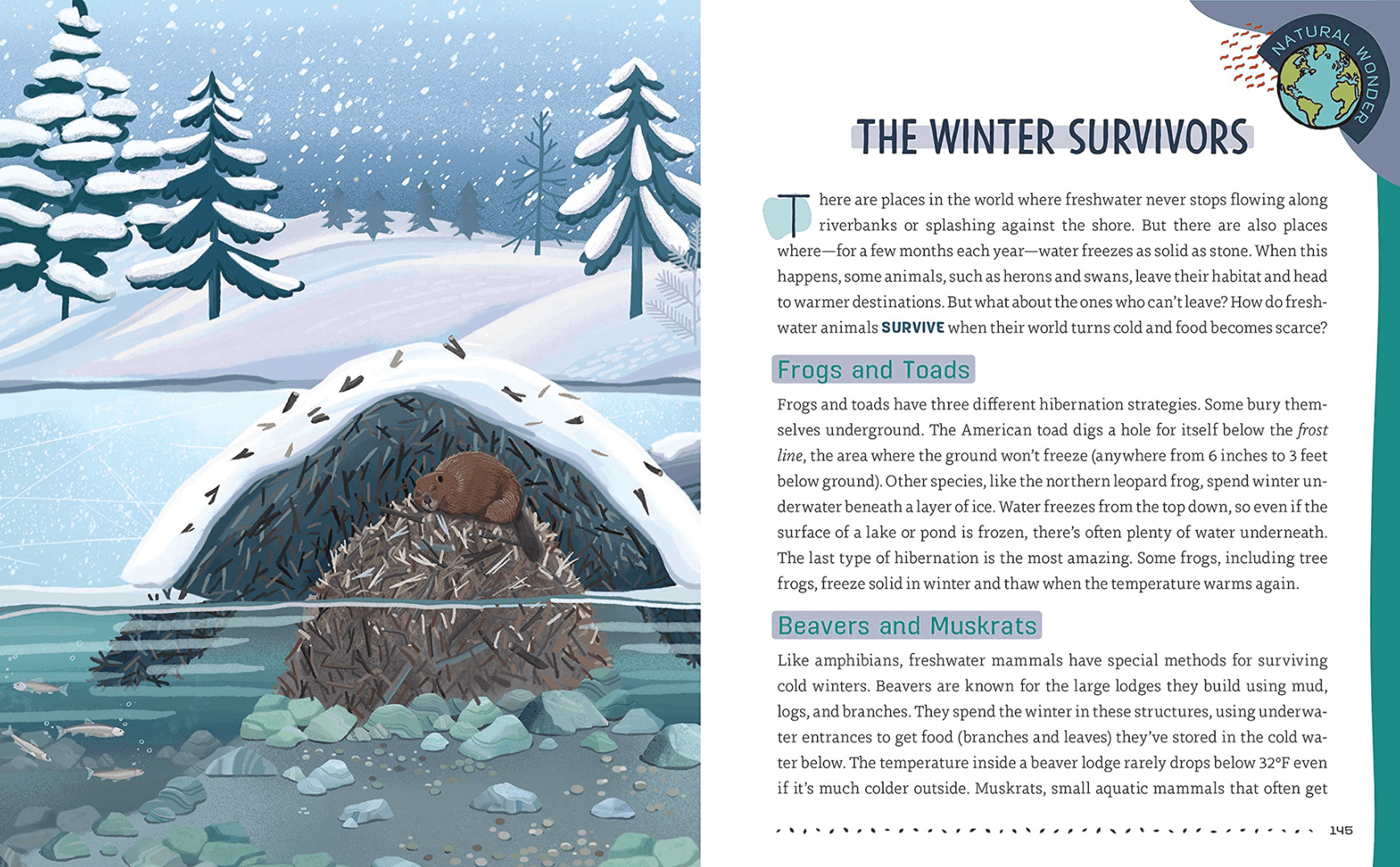 Illustration einer Unterwasser-Biberburg in einer Winterlandschaft mit einem Biber darin. Schneebedeckte Bäume und ein Schneesturm im Hintergrund, ein zugefrorener See mit Eisrissen und Fische, die unter der Burg schwimmen.