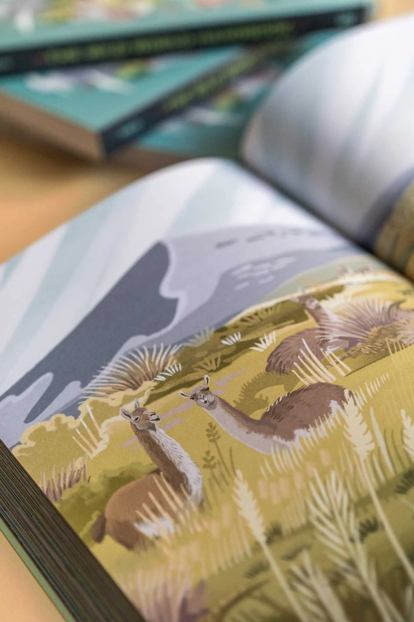 Aufgeschlagenes Buch mit Illustrationen von Rehen in einer Waldszene, mit einigen Büchern im Hintergrund.