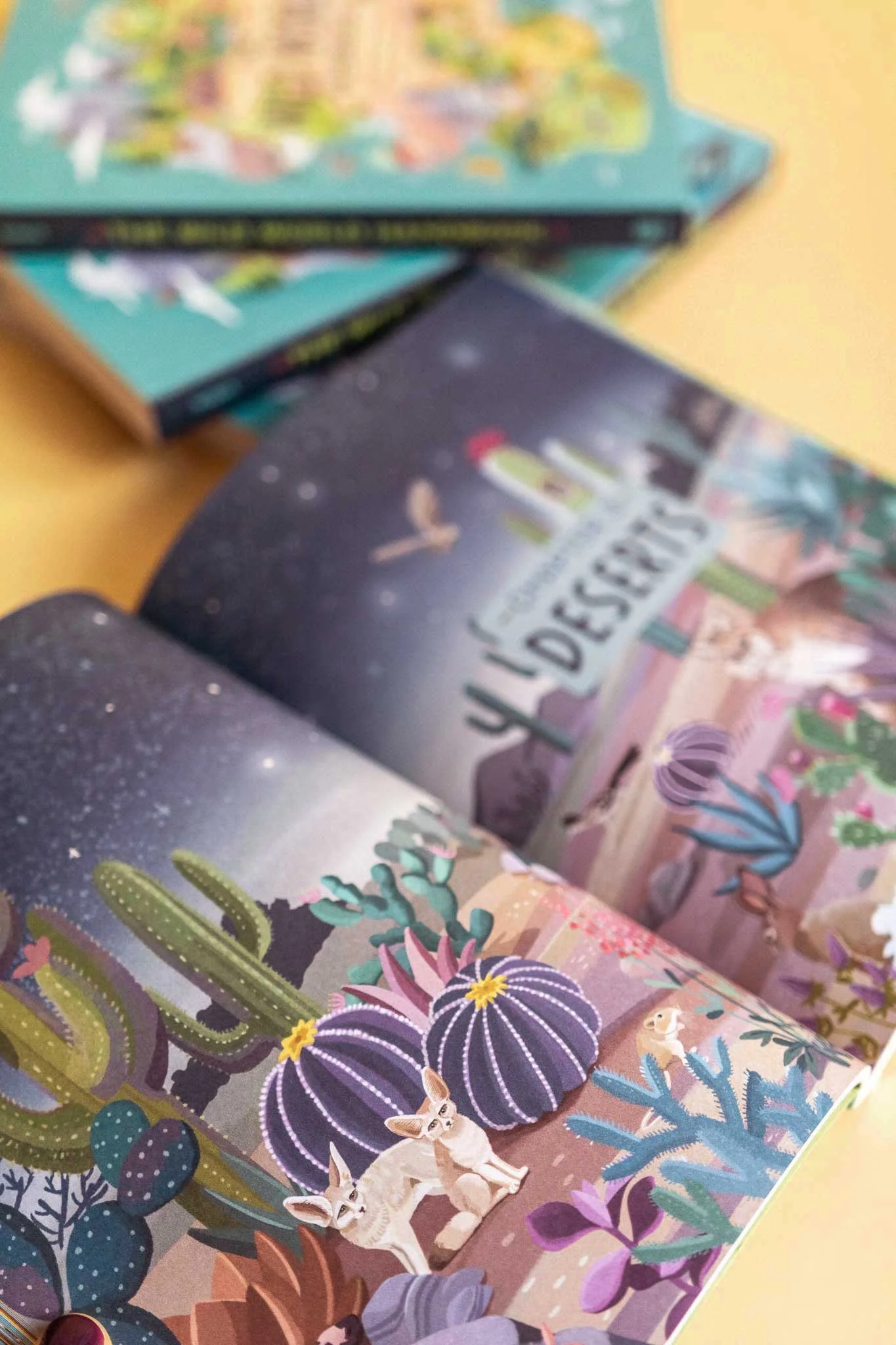 Aufgeschlagenes Buch mit farbenfroher Wüstenszene mit Kakteen, einem Fuchs und verschiedenen Wüstenpflanzen, mit einer Galaxie und einem Sternenhimmel im Hintergrund.