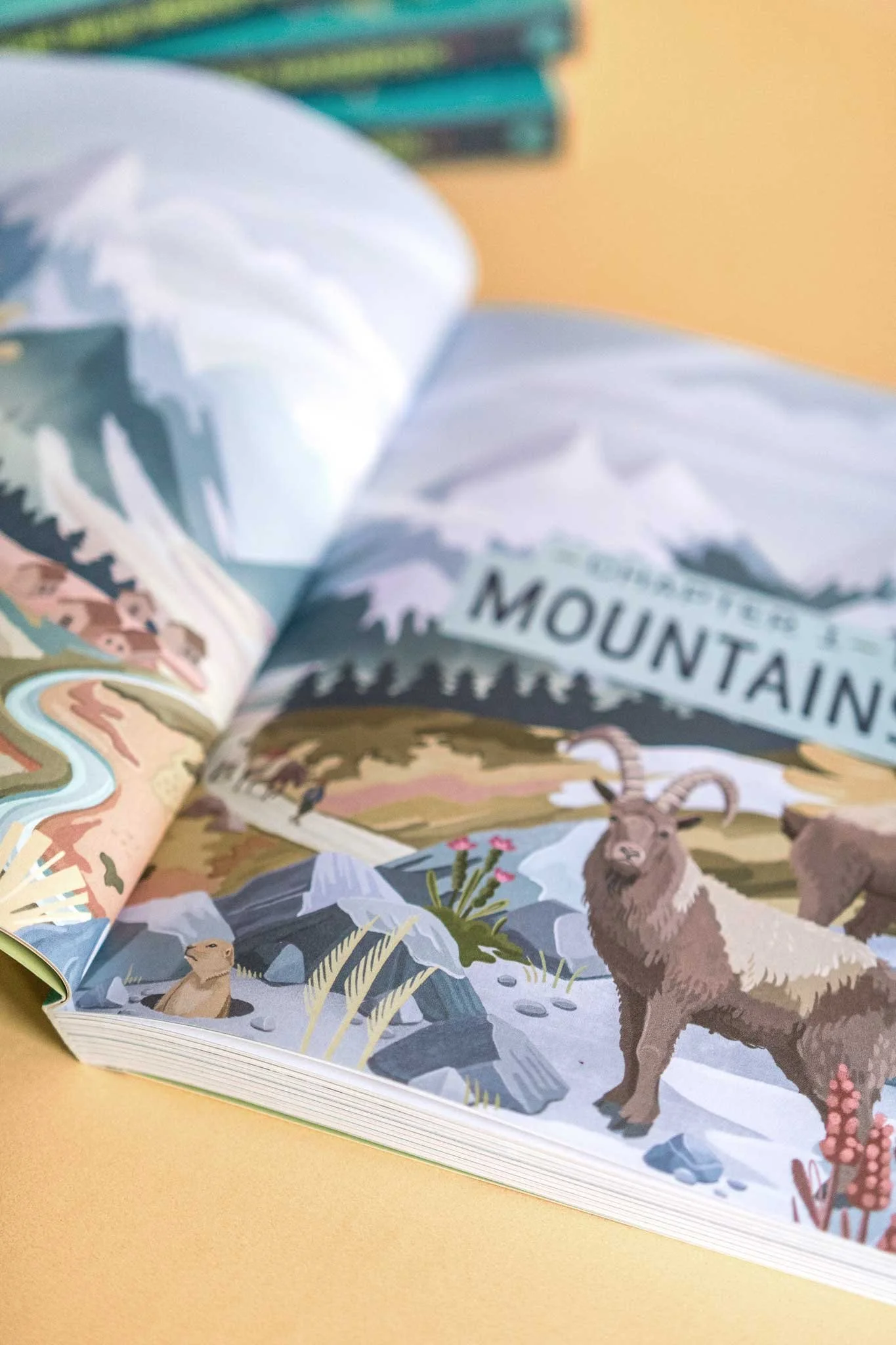 Aufgeschlagenes illustriertes Buch über Berge, mit Tieren wie einer Gämse und einem Murmeltier, mit einer Berglandschaft und einer Flussszene.