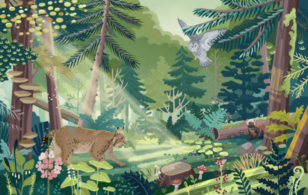 Illustration eines üppig grünen Waldes mit einem Berglöwen, der über den Waldboden geht, einem Bären, der teilweise zwischen Bäumen versteckt ist, einer Eule, die darüber fliegt, und Sonnenlicht, das durch die Bäume scheint, umgeben von farbenfrohen Pflanzen und Pilzen.
