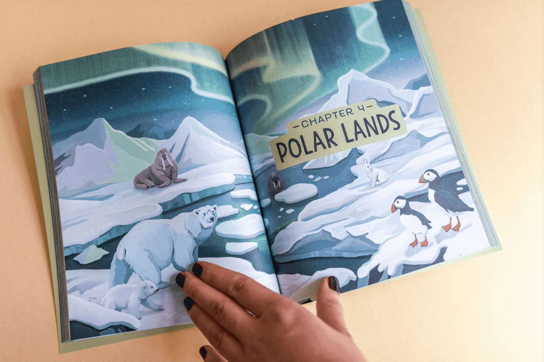 Aufgeschlagenes Buch mit einer Illustration der Arktis mit Eisbären, Robben und Papageientauchern unter dem Nordlicht.