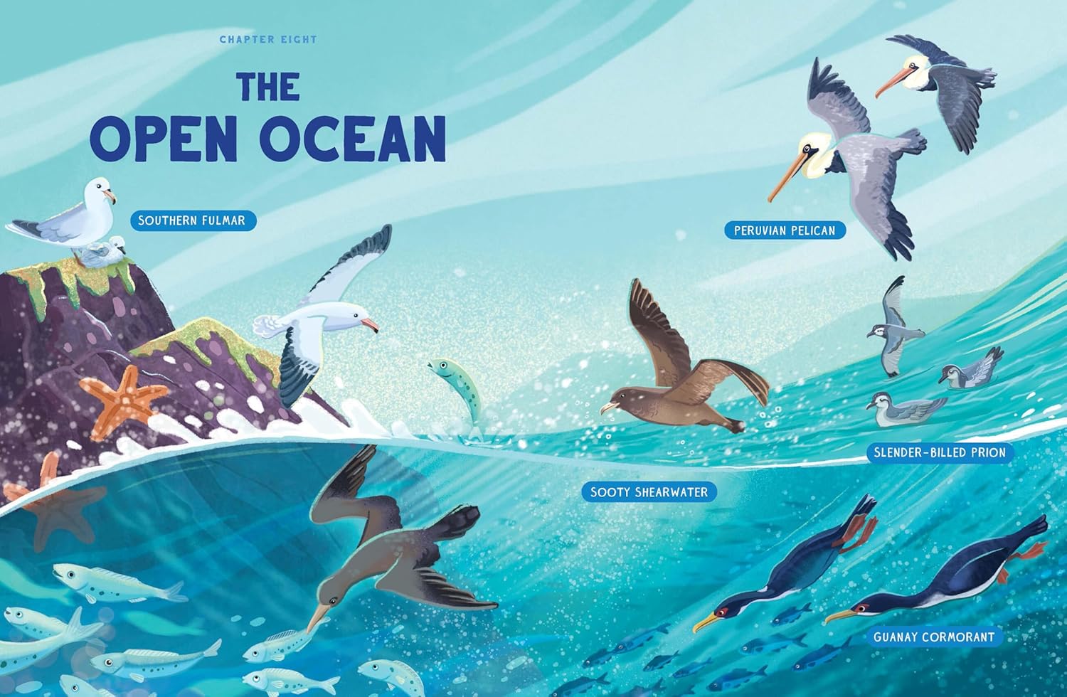 Doppelseite des Kapitels The Open Ocean, Seevögel und Wassertiere über und unter der Wasserlinie.